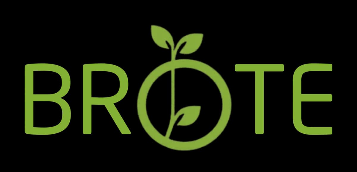 BROTE — Estudio de software